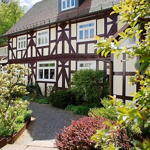 Hotel Dammuehle